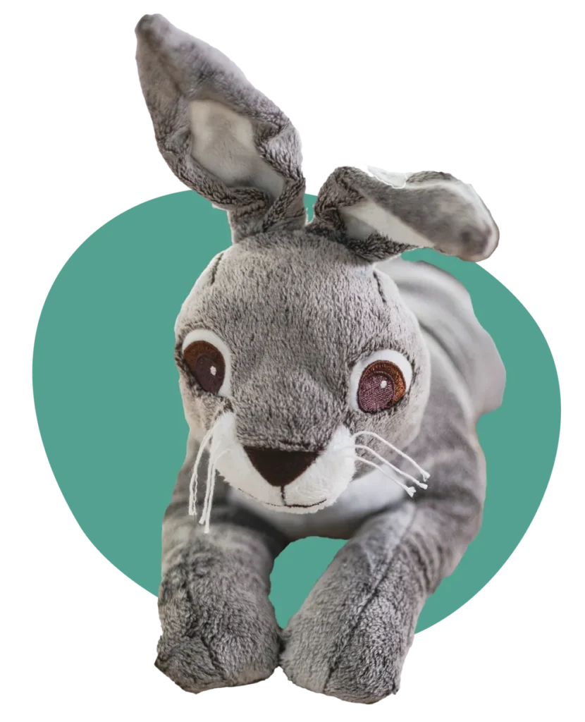Lerntherapie mit Hasi