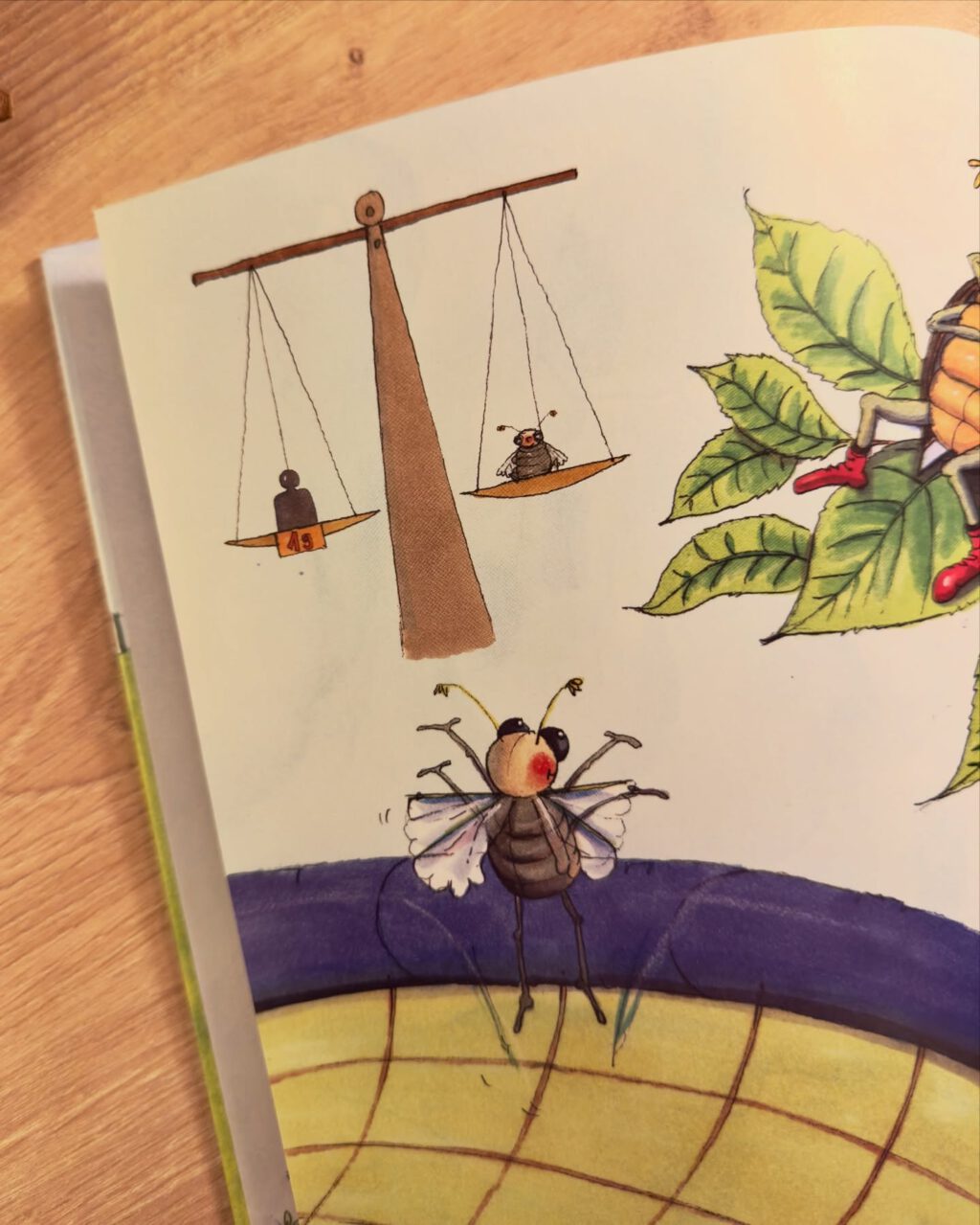 Instagram post from mathe.mit.frau.hasler. This post is in position 5.