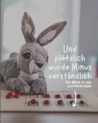 Instagram post from mathe.mit.frau.hasler. This post is in position 1.