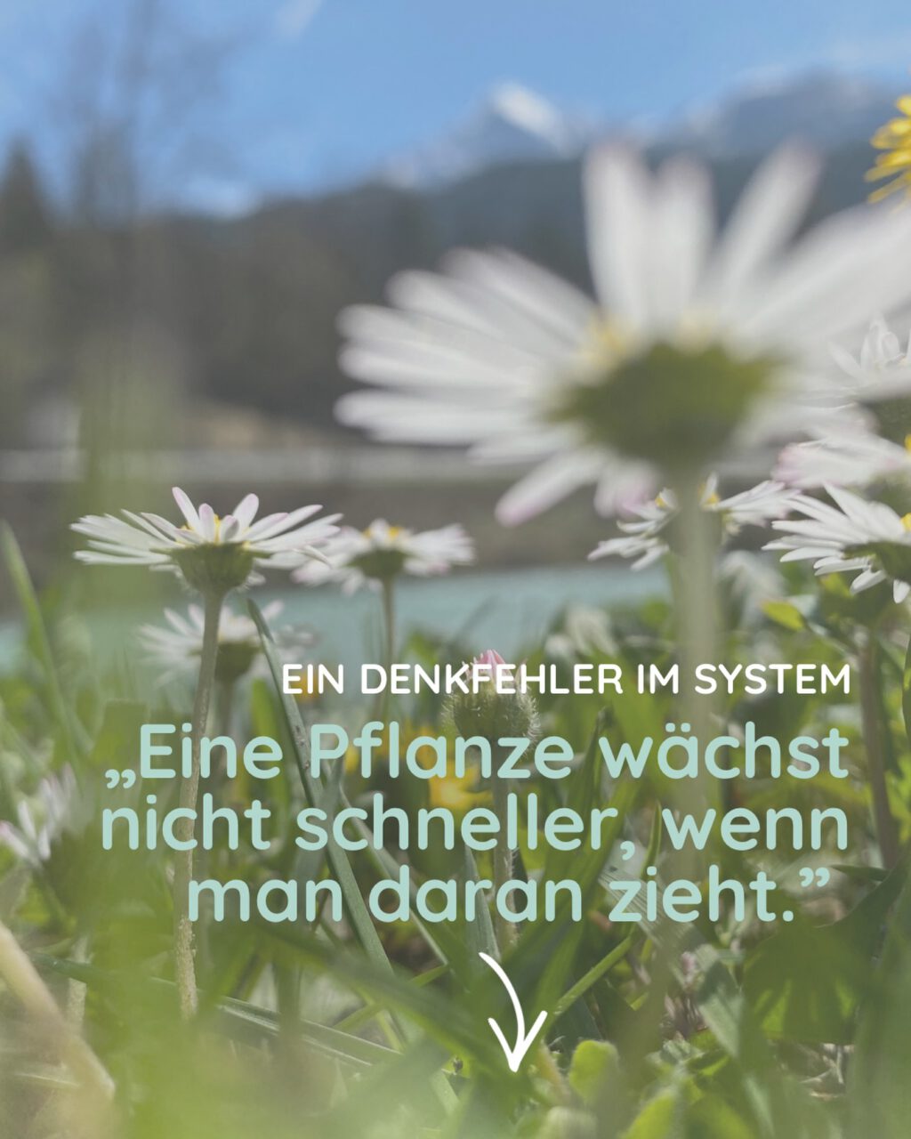 Instagram post from mathe.mit.frau.hasler. This post is in position 1.