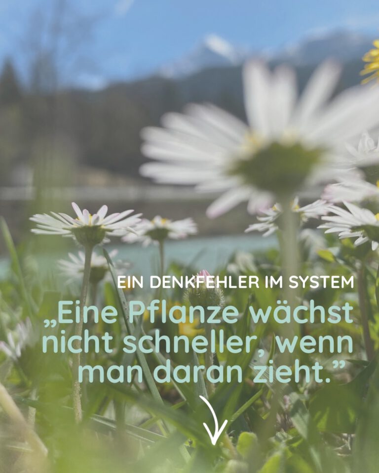 Instagram post from mathe.mit.frau.hasler. This post is in position 2.