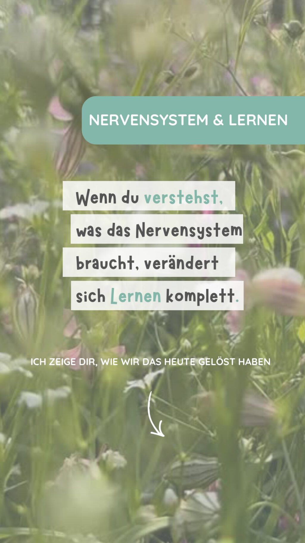 Instagram post from mathe.mit.frau.hasler. This post is in position 1.